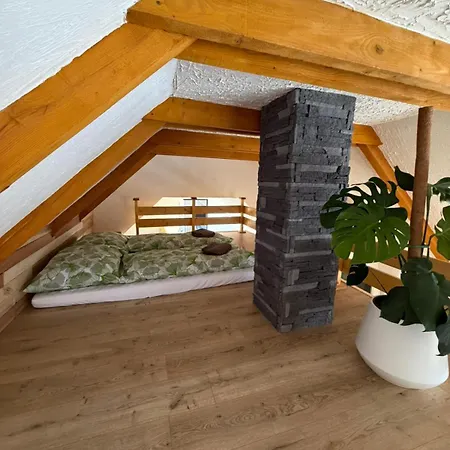 Tarasova